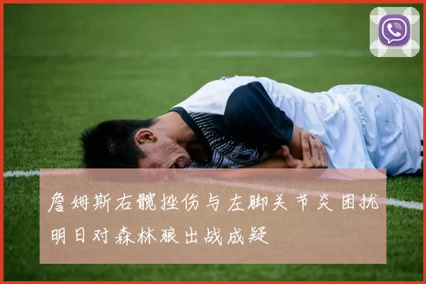 詹姆斯右髋挫伤与左脚关节炎困扰明日对森林狼出战成疑